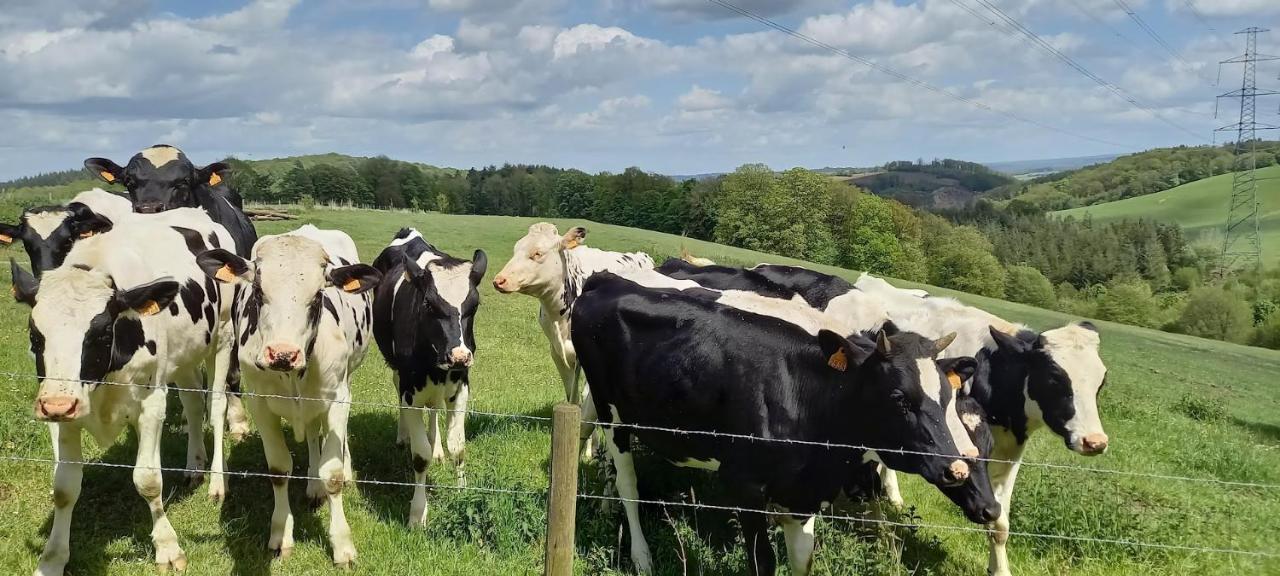 Vila La Faironniere Hamoir Exteriér fotografie